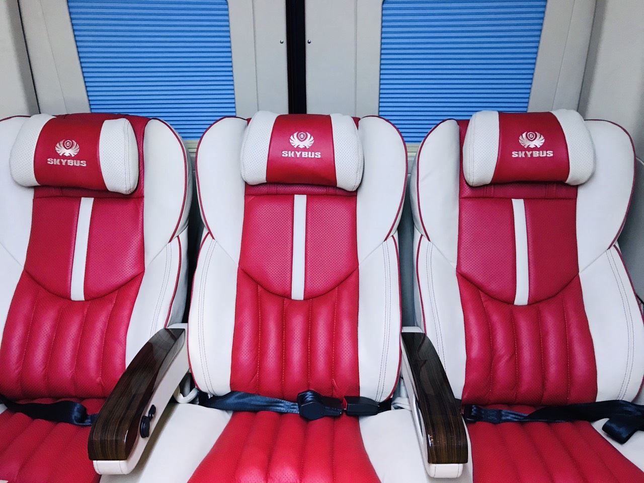 Độ xe Solati Limousine Skybus Limited 8